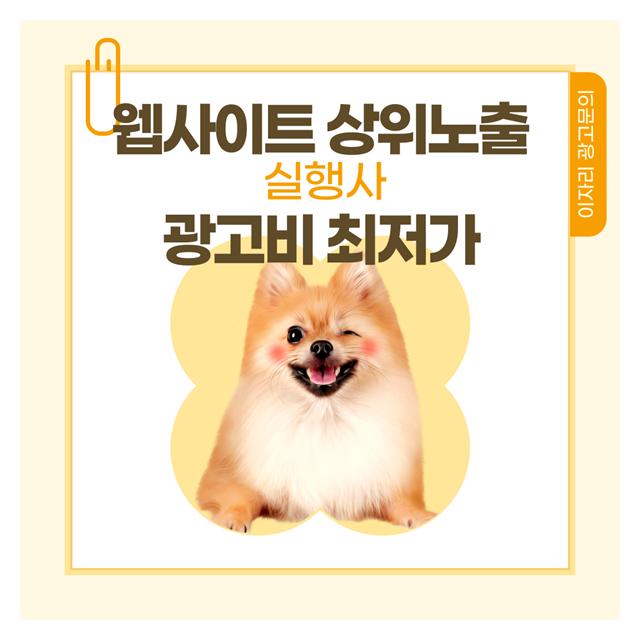 수원강아지분양 웹사이트
